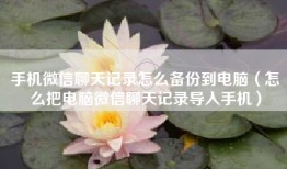 手机微信聊天记录怎么备份到电脑（怎么把电脑微信聊天记录导入手机）