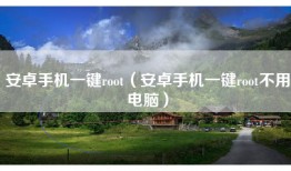 安卓手机一键root（安卓手机一键root不用电脑）