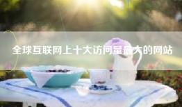 全球互联网上十大访问量最大的网站