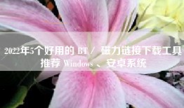 2022年5个好用的 BT／ 磁力链接下载工具推荐 Windows 、安卓系统
