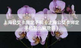 上海公交卡绑定手机（上海公交卡绑定手机怎么刷地铁）