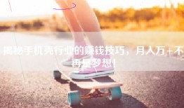 揭秘手机壳行业的赚钱技巧，月入万+不再是梦想！
