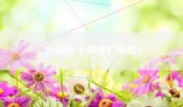 小程序十种推广策略！