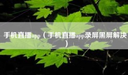 手机直播app（手机直播app录屏黑屏解决）