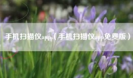 手机扫描仪app（手机扫描仪app免费版）
