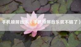 手机锁屏音乐（手机锁屏音乐就不唱了）