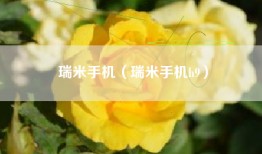 瑞米手机（瑞米手机h9）
