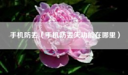 手机防丢（手机防丢失功能在哪里）
