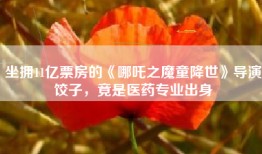 坐拥11亿票房的《哪吒之魔童降世》导演饺子，竟是医药专业出身
