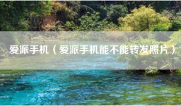 爱派手机（爱派手机能不能转发照片）