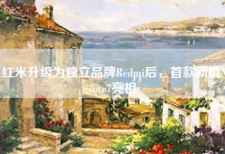 红米升级为独立品牌Redmi后，首款新机Note7亮相