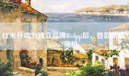 红米升级为独立品牌Redmi后，首款新机Note7亮相