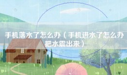 手机落水了怎么办（手机进水了怎么办把水震出来）