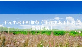 千元小米手机推荐（千元小米手机哪款最值得买）