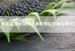 手机能充电玩吗（手机可以充着玩着吗）