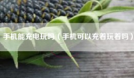 手机能充电玩吗（手机可以充着玩着吗）