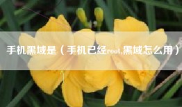 手机黑域是（手机已经root,黑域怎么用）