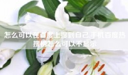 怎么可以在百度上搜到自己,手机百度热搜榜怎么可以不显示