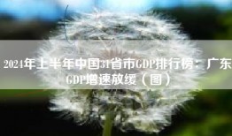 2024年上半年中国31省市GDP排行榜：广东GDP增速放缓（图）