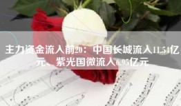 主力资金流入前20：中国长城流入11.54亿元、紫光国微流入6.95亿元
