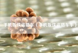 手机版侠盗猎车（手机版侠盗猎车手）