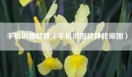 手机识图软件（手机识图软件找原图）