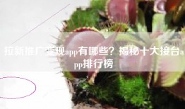 拉新推广变现app有哪些？揭秘十大接台app排行榜