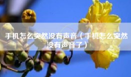 手机怎么突然没有声音(手机怎么突然没有声音了)