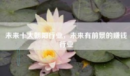 未来十大朝阳行业，未来有前景的赚钱行业