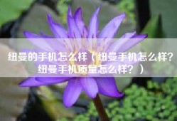 纽曼的手机怎么样（纽曼手机怎么样？纽曼手机质量怎么样？）