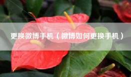 更换微博手机（微博如何更换手机）