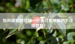 如何部署微信碰一下支付系统源码？详细教程！