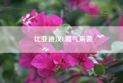 比亚迪汉L霸气来袭