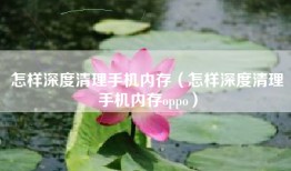 怎样深度清理手机内存（怎样深度清理手机内存oppo）