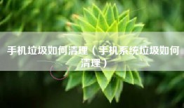 手机垃圾如何清理（手机系统垃圾如何清理）