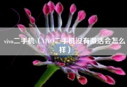 vivo二手机（VIVO二手机没有激活会怎么样）