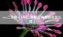 vivo二手机（VIVO二手机没有激活会怎么样）