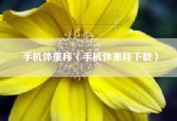 手机体重秤（手机体重秤下载）