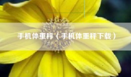 手机体重秤（手机体重秤下载）