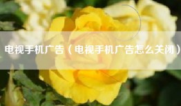 电视手机广告（电视手机广告怎么关闭）
