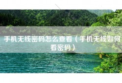 手机无线密码怎么查看（手机无线如何看密码）