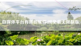 自媒体平台有哪些软件(纯免费无限制版)