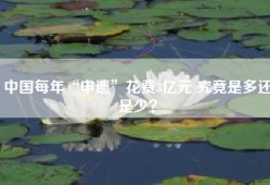中国每年“申遗”花费3亿元 究竟是多还是少？