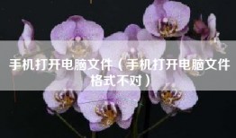 手机打开电脑文件（手机打开电脑文件格式不对）