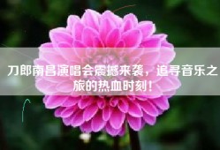 刀郎南昌演唱会震撼来袭，追寻音乐之旅的热血时刻！