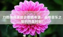 刀郎南昌演唱会震撼来袭，追寻音乐之旅的热血时刻！