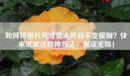 如何将图片尺寸变大并且不变模糊？快来试试这四种方法，保证无损！
