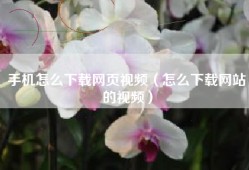 手机怎么下载网页视频（怎么下载网站的视频）