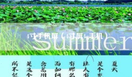 4寸手机屏（4寸屏4g手机）