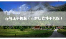 zip解压手机版（zip解压软件手机版）